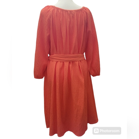 Elizabeth & James Orange Crinkle Dress - Picture 2 of 2